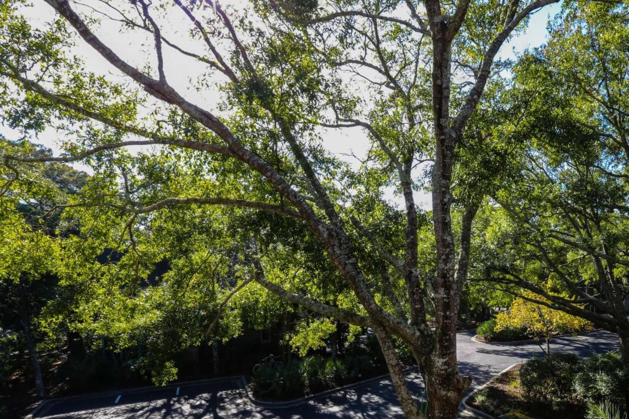 Relax, Renew, Retreat Villa Kiawah Island Exterior foto